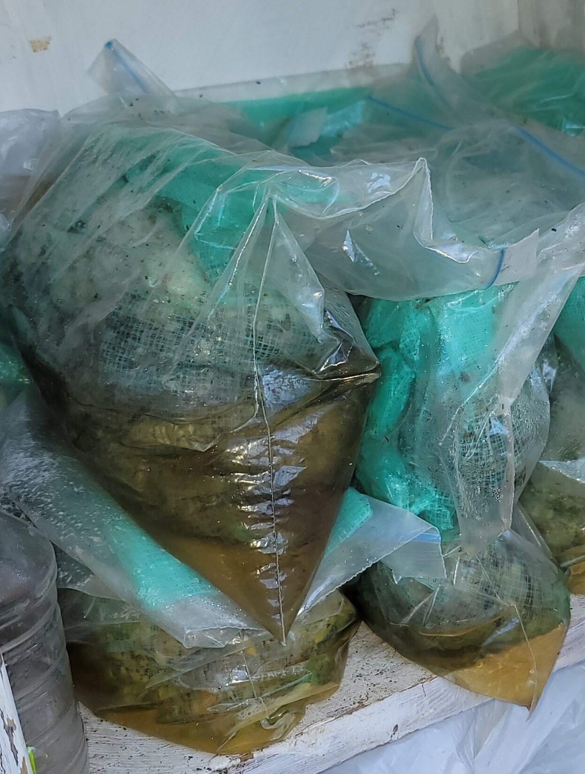 自家製の堆肥と肥料: 山のつれづれ