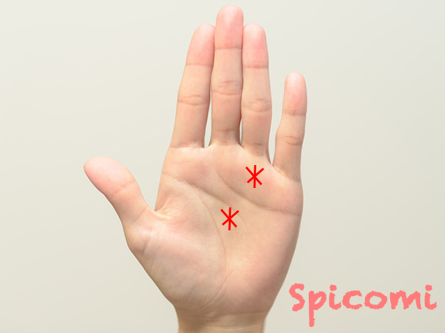 手相に星「スター線」があると幸運！宝くじが当たるって本当！？ – バランガンメディア