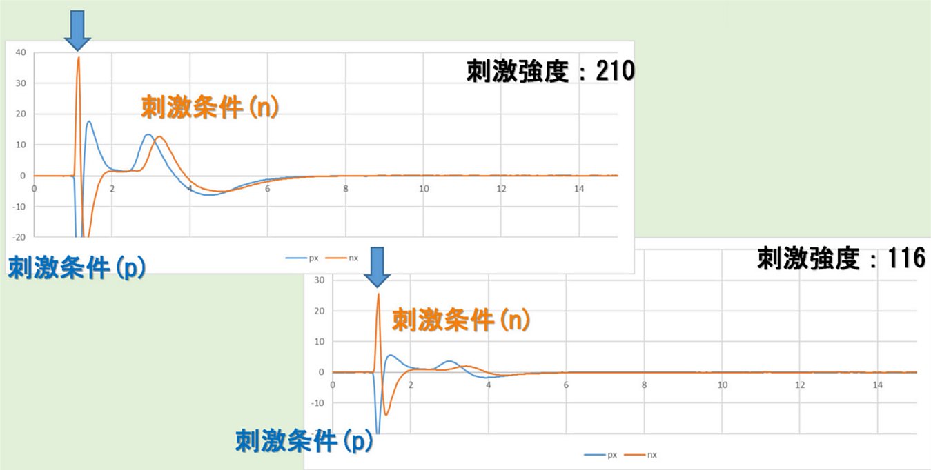 神経筋接合部 - 脳科学辞典