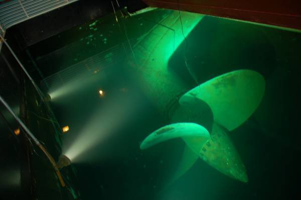 同じ感覚の人いる？ 剥製恐怖、海洋恐怖、地図恐怖、巨像恐怖 ウソみたいだけど本人は本当に怖い対象あれこれロケットニュース24