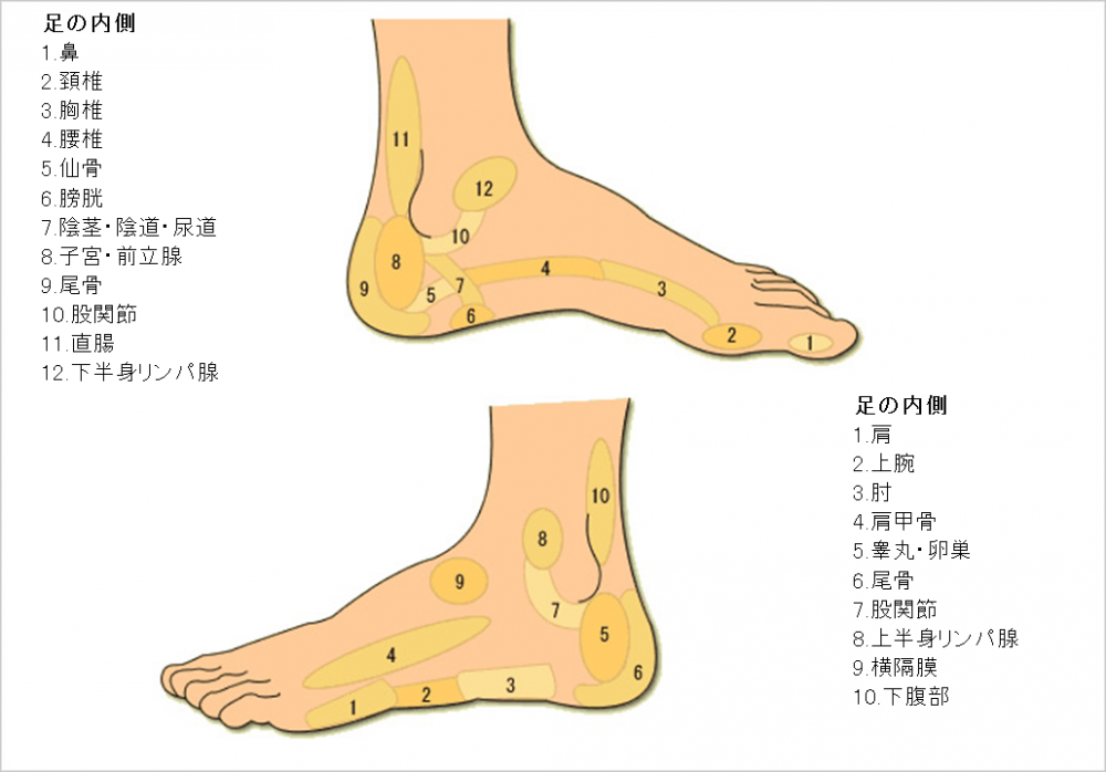 足ツボのツボ押し 指圧 にはどんな効果が？体の不調や冷えを緩和するツボも紹介がんばるあなたに。疲れの情報局アリナミン