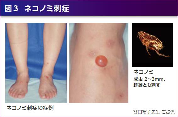 アリスペットクリニック - 各種設備の整った高知の動物病院です