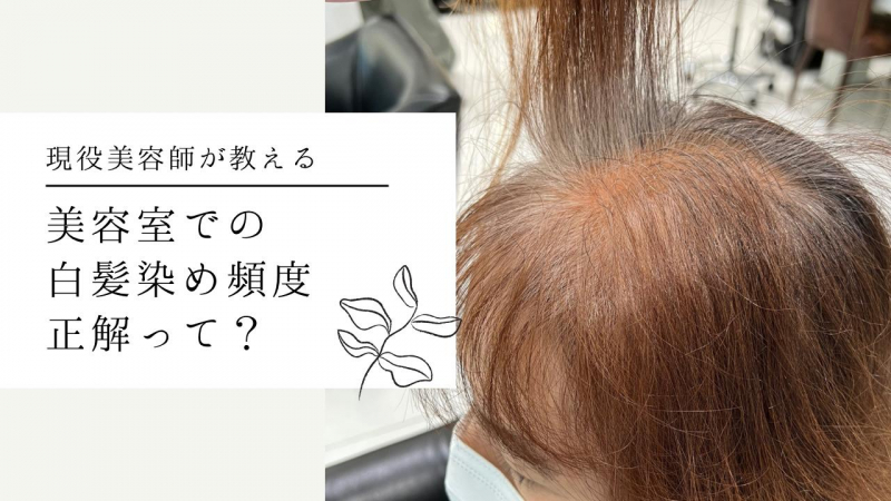 ブリーチ カラーは何日で色落ちする？回数・色味・色の濃さ・髪質別に解説してみた ✦ 青森市美容室 SHUN ショート ブリーチ バレイヤージュ 髪質改善