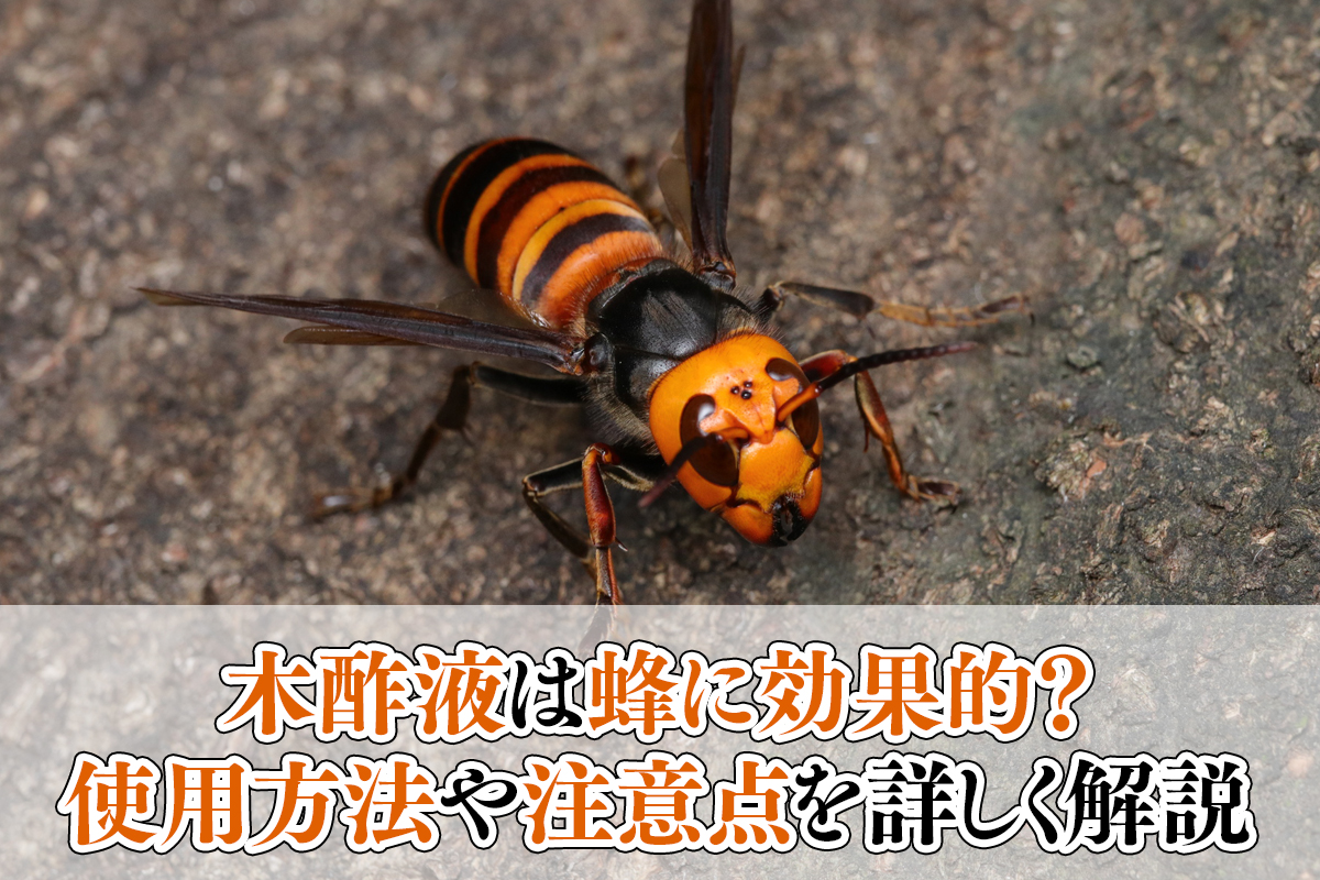 木酢液は蜂対策として効果あり！スプレーを作って蜂を予防しよう生活110番