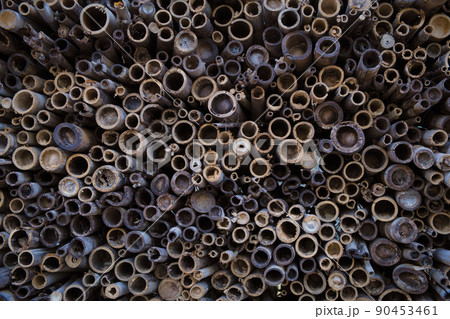 118.絶対に見ないでください！蓮コラ画像を並べてみた！丸武群＠峮峮 チュンチュン 応援note