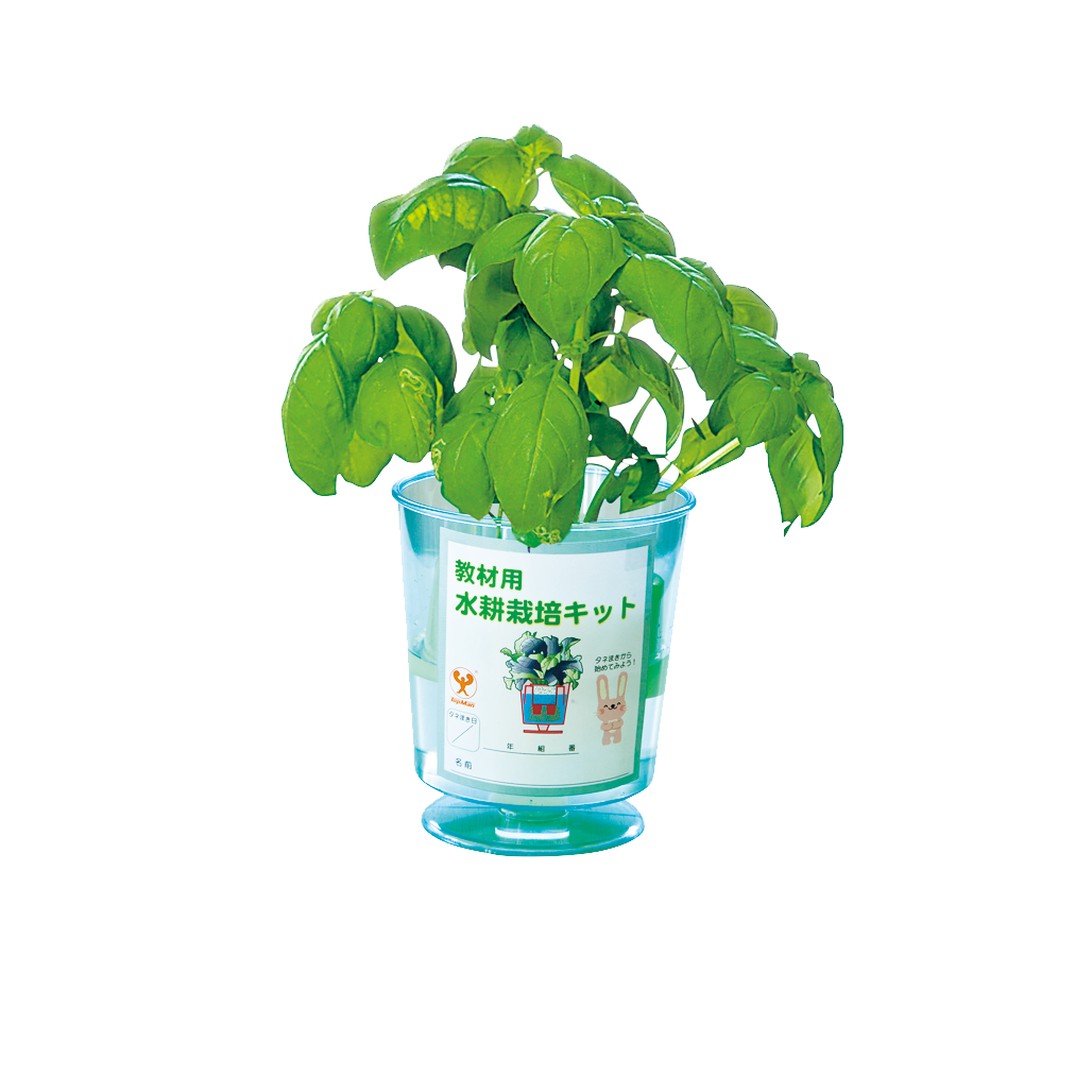 おうちde育てるペットボトル栽培 スイートバジル 土なしで育てる 種 水 肥料 栽培キット 家庭菜園 ガーデニング おしゃれ かわいい 簡単 :古河産業 Official EC-Shop - 通販 - Yahoo!ショッピング