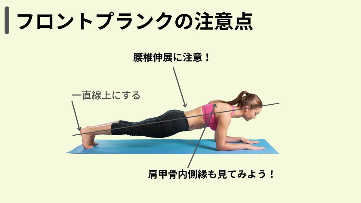 初心者でも効果バツグン!「プランク」の正しいやり方と効果とは? - 最高のパーソナルトレーナーが見つかるインタビューメディア ファインドトレーナー