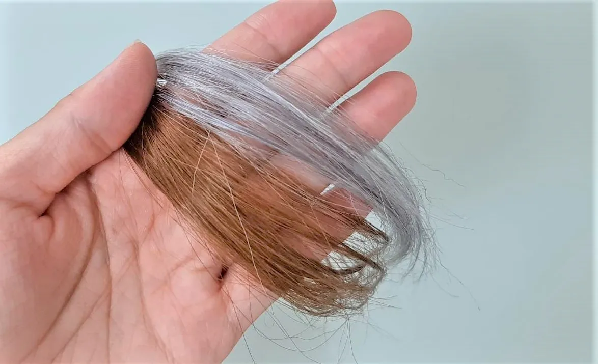 アレス カラー シルバーシャンプー 200mlの業務用通販サイト b-zoneREVO+