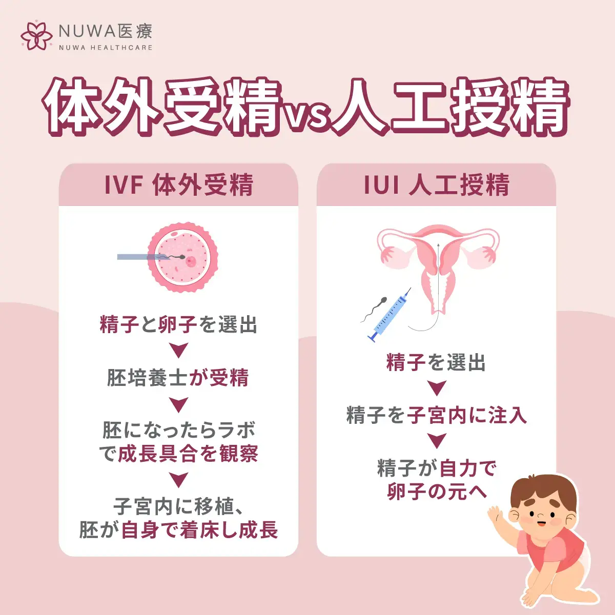 世界で初めて「ヒト胚の着床の瞬間」をリアルタイムで捉えた映像が撮影される - GIGAZINE