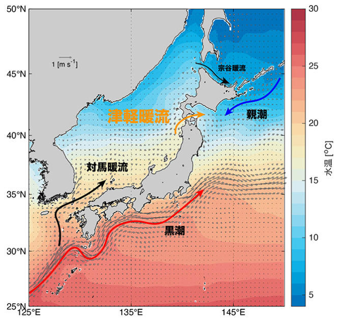 ZEROFIT ゼロフィット ヒートラブライト 軽暖 2022年モデル 男女兼用 上下セット HEATRUB LIGHT S M L XLポイント5倍 当日発送 : グローバルトレードInc - 通販 - Yahoo!ショッピング