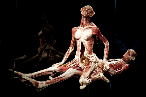 人体構造と視覚認識による大切さ 札幌市指導者 林先生NPO法人 足圧ボディケアアカデミー 谷川流足圧