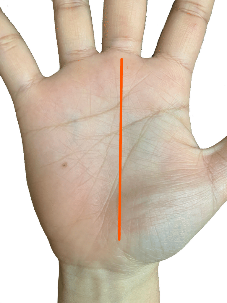 子どもの手相もみんな違う ？ココを見ればわかる！簡単解析の方法4yuuu