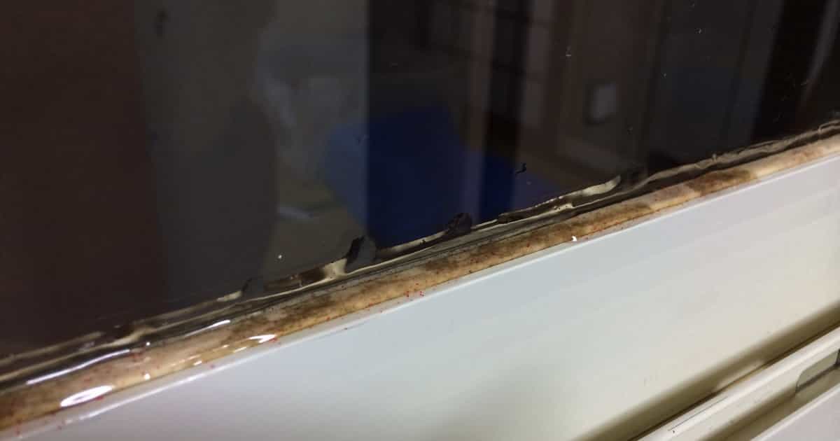 ゴムパッキンのカビ取り方法とは？頑固なカビの落とし方を解説長谷工グループ「ブランシエラクラブ」