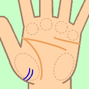 運気を上げる手相bot on X: 