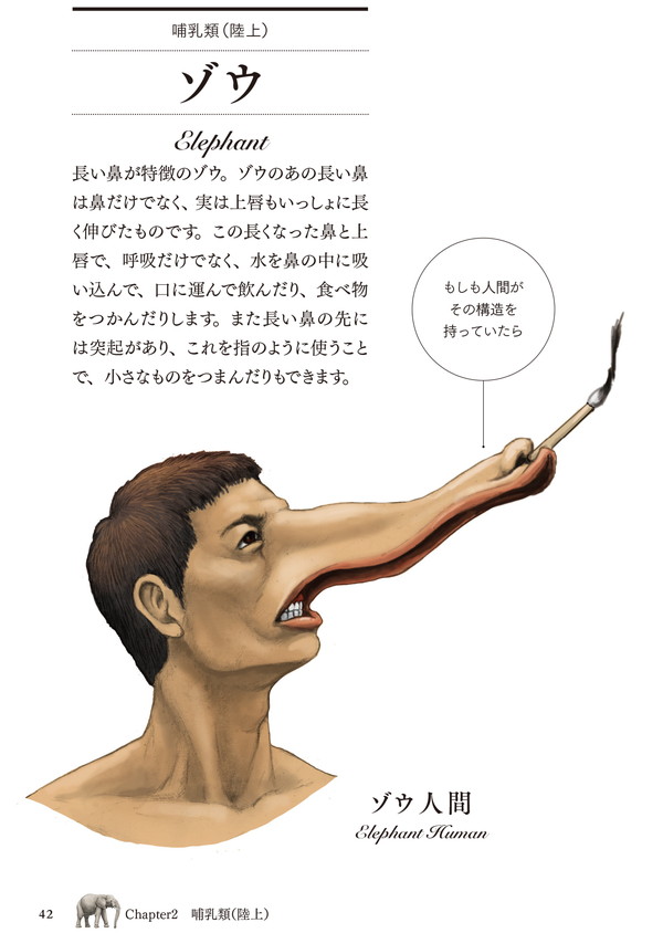 鼻中隔延長はダウンタイムが長い？過ごし方も併せてご紹介金沢の美容外科・美容整形はeクリニック