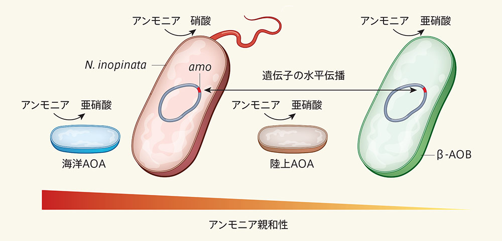 アニメ「俺100」本編映像がいらすとや素材の第1話“ワケあり版”をサプライズ放送 - コミックナタリ