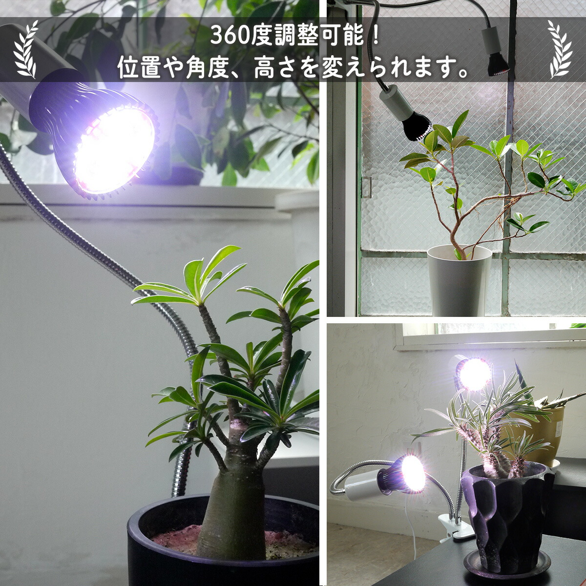 光触媒 人工観葉植物 抗菌消臭 ウォールグリーン ストレッチア ストレチアプロフラワーデザイナー監修・製作日本製 Couleur