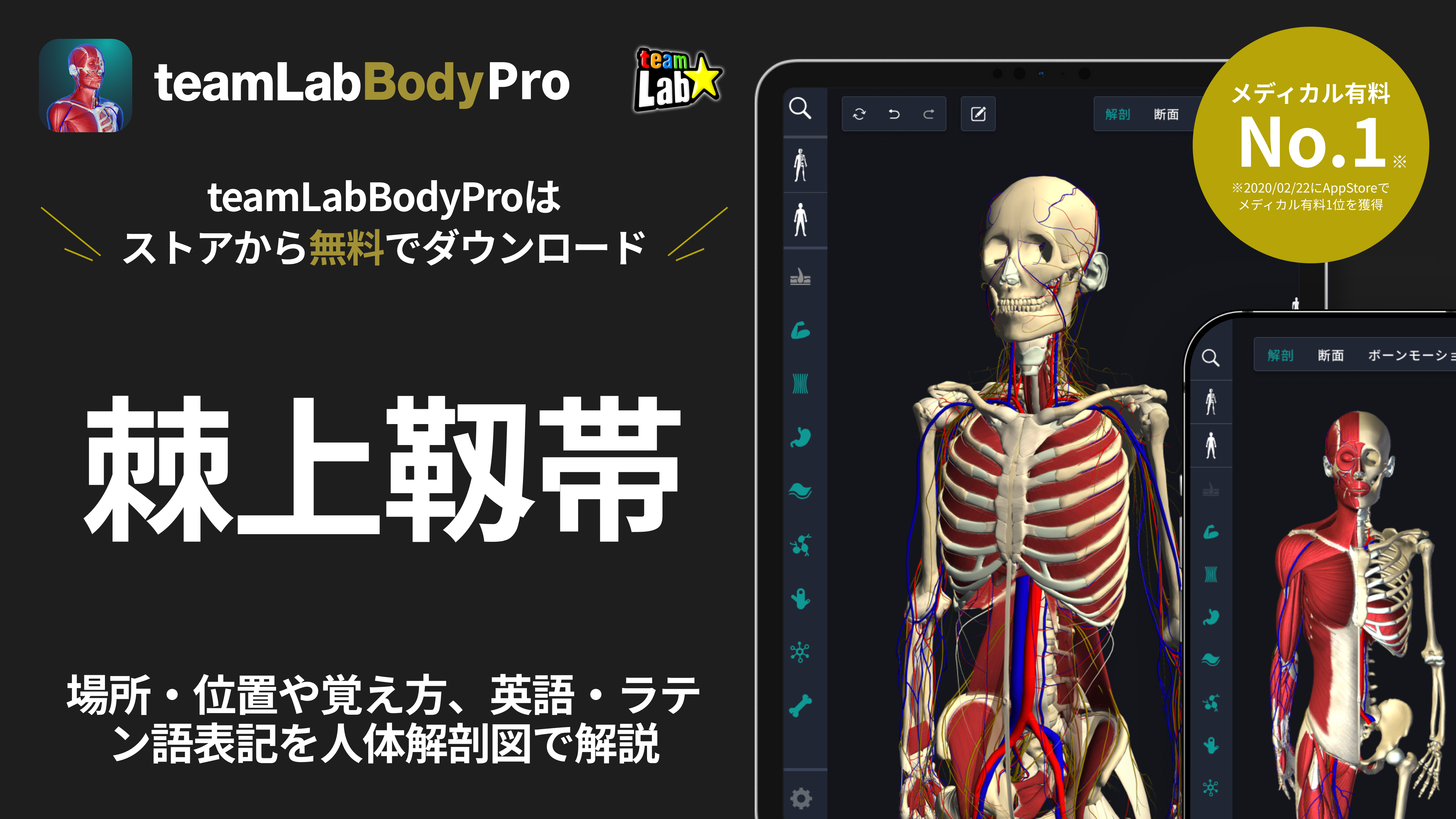 棘上靭帯炎 - 倉敷市ジール鍼灸整骨院 整体院