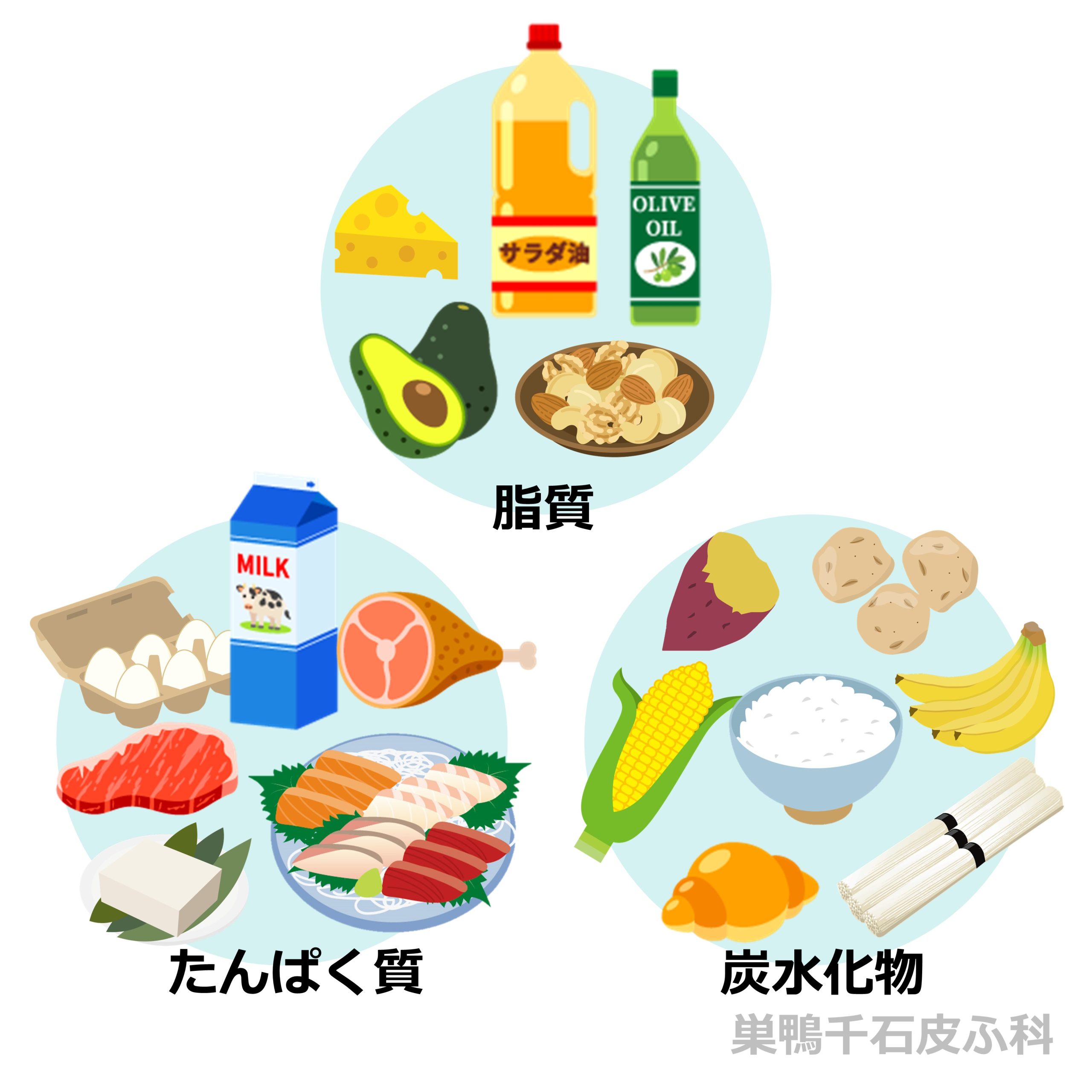 ご飯が食べられるダイエット！ 脂質オフでダイエットと節約をかなえるNEWSCAST