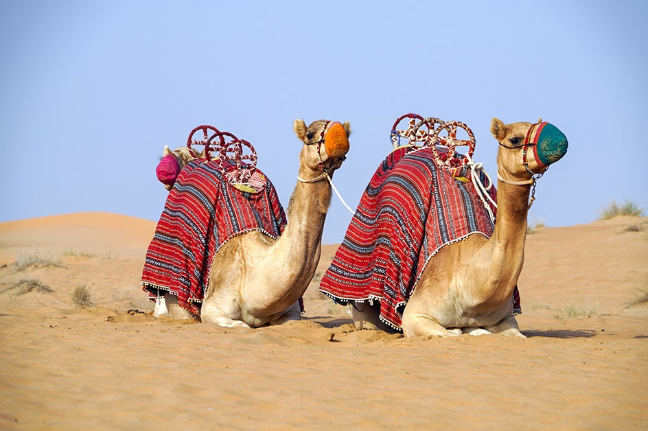 アラブ首長国連邦旅行・ツアーカタール航空利用！ドバイ HIS 海外旅行