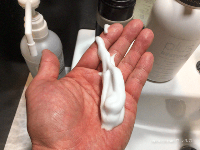 ゴリラ洗顔を実際に体験 毛穴写真あり リアルな効果を赤裸々レポートThe Style Dictionary