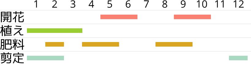 簡単キイチゴ栽培！家庭果樹ラズベリーとブッラクベリー違いと育て方園楽project~園芸・植物を楽しむ情報サイト～