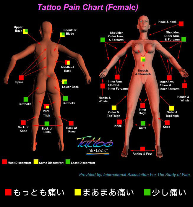 ふくらはぎ タトゥー 痛みTikTok