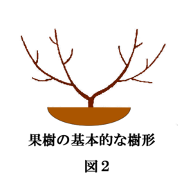 果樹の冬季せん定についてJA埼玉中央ホームページ