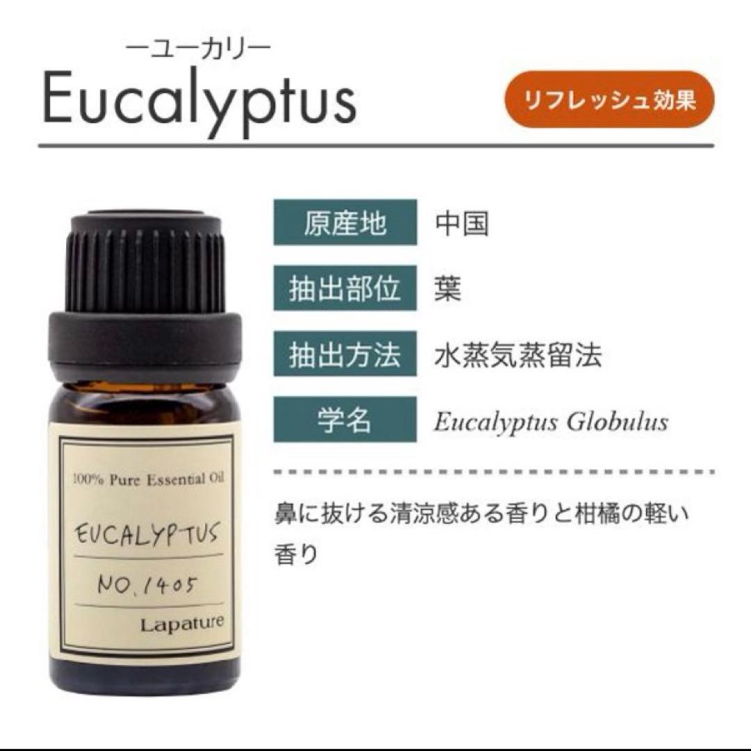 Amazon.co.jp: OrBSユーカリプタススプレー701 330ml 物品用 除菌 消臭 お掃除 マルチスプレー : ドラッグストア