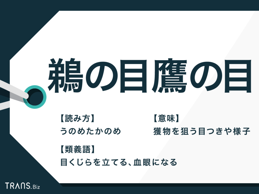 血眼とはTikTok