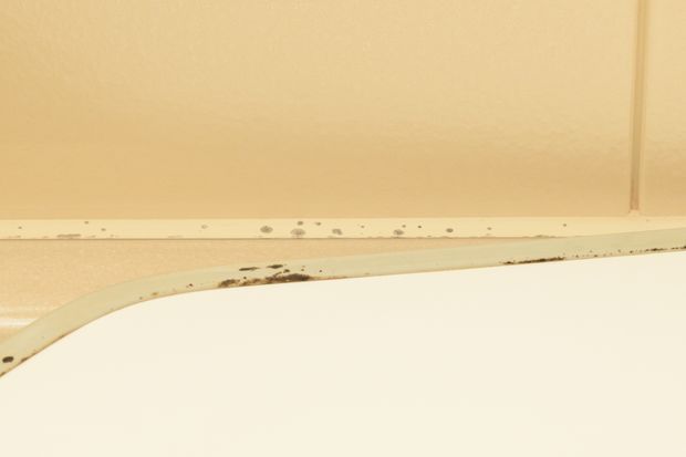 純閃堂 カビ取り侍 ジェルタイプ 200g カビ カビ取り お風呂 浴室 キッチンのパッキン ゴムパッキン タイル目地 窓のサッシ シーラントコーキングの黒カビに KZ-J200 : 純閃堂Yahoo!店 - 通販 - Yahoo!ショッピング