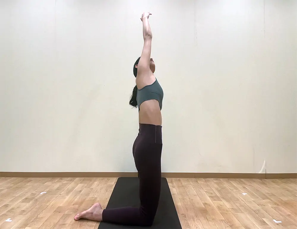 カマキリのポーズの写真 - 無料の高画質写真をダウンロードFreepik