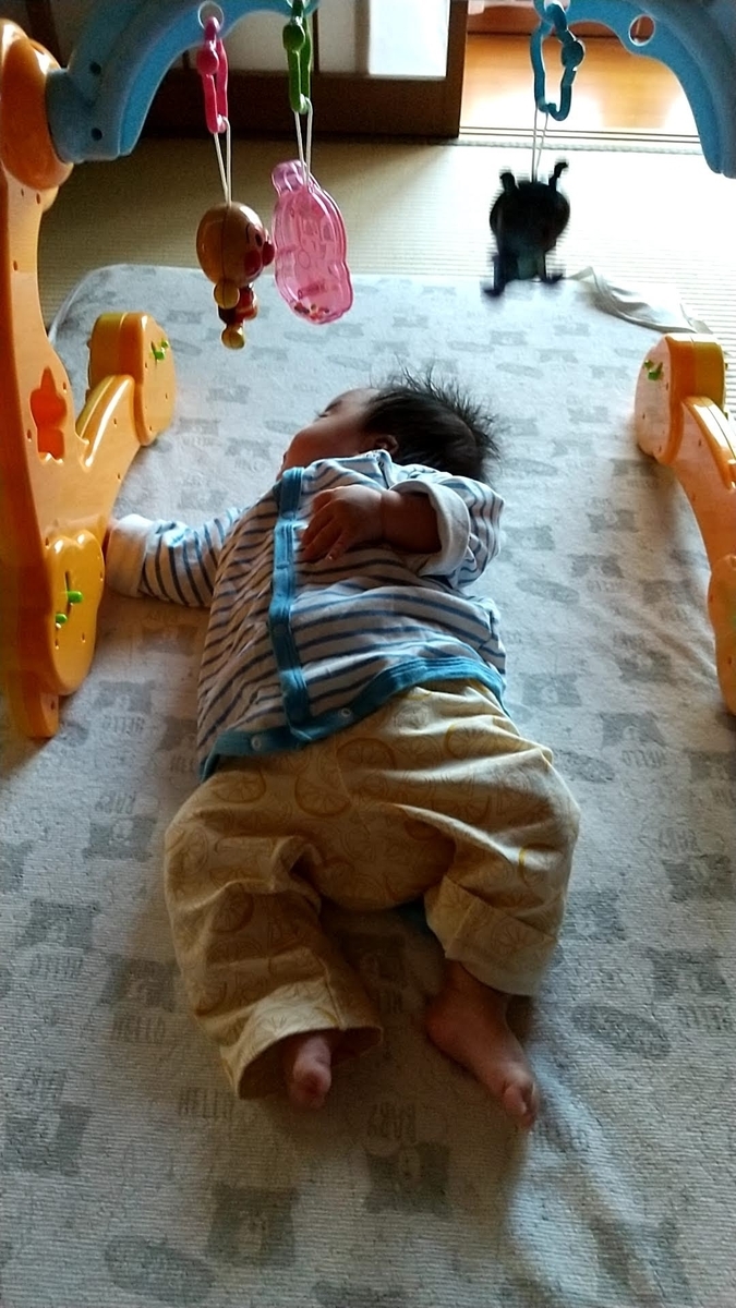 授乳を始めてもすぐに寝てしまうため、しっかり飲めているか心配です』AMOMAブログ公式 母乳育児向け専門ハーブティー、アロマ、マッサージオイルAMOMA natural care通販サイト