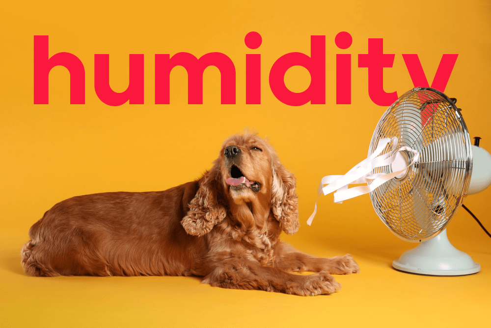 笑いすぎて涙出た」「勉強になる」 日本の間違いだらけの英語案内を紹介する動画が100万回超再生 1 2ねとらぼ