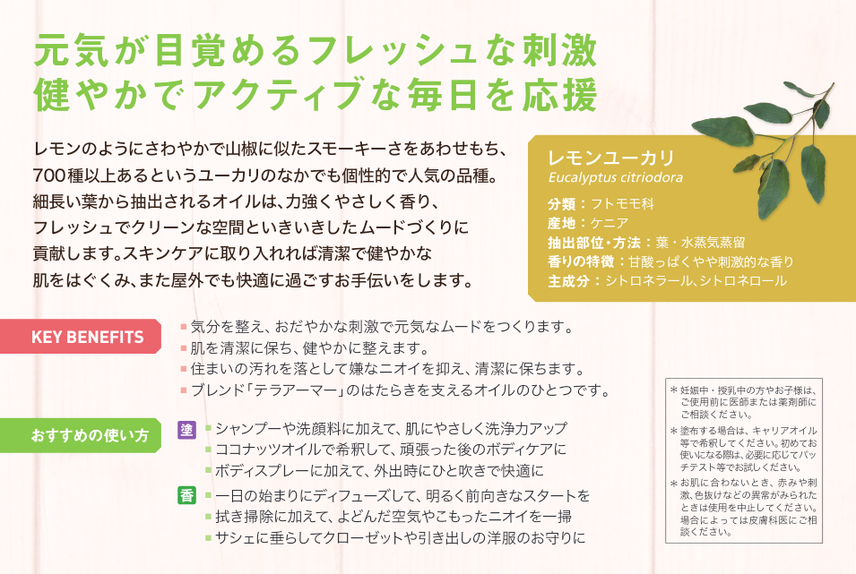 アロマ効果もあるユーカリの驚きの効能。虫よけ効果と育て方。 - ハウリンの雑念だらけで生きている