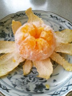 離乳食後期頃から みかんを半分にby せいまままクックパッド簡単おいしいみんなのレシピが392万品