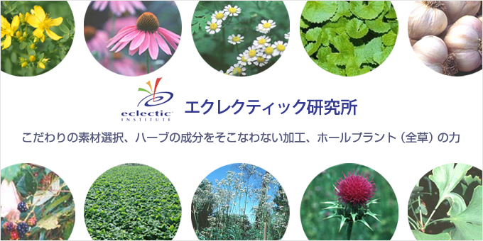 ハーブサプリメントメディカルハーブ製品静岡県藤枝市のハーブショップてんぐ