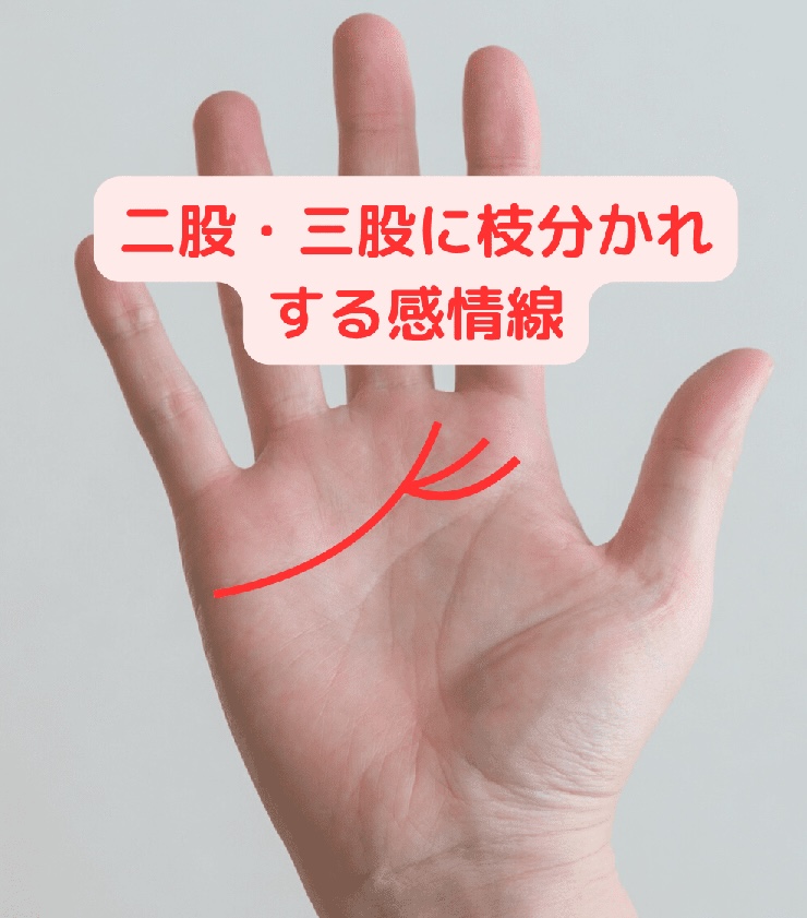 手相占い徹底解説！7大線と幸運な手相7選！│資格のキャリカレ