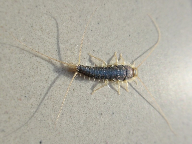 服に虫食いがあった場合の見分け方！原因と対策自宅で簡単◎宅配クリーニングはリクリ