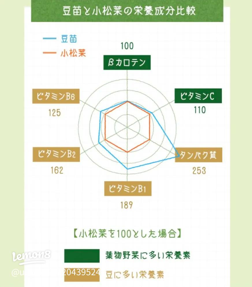 小松菜の栄養を無駄なく摂取！調理による栄養価の変化 ～ミネラル編～VitaNote Lab ビタノート ラボ 栄養を身近に