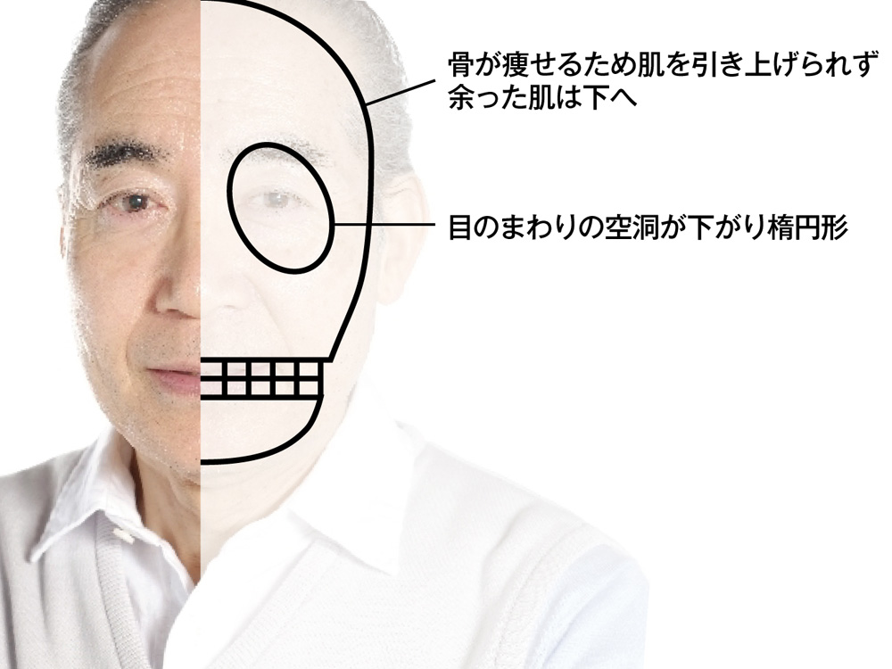 加齢でボテッと肥大化する「にんにく鼻」は中年から増える！YouTube登録数78万人超えの人気医師に聞いた、鼻デカのメカニズムと食い止めケア 3ページ目週刊女性PRIME