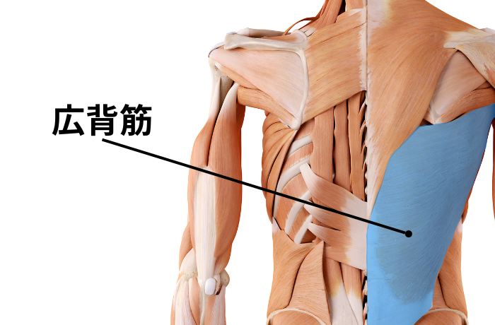 あなたは「背中で握手」できる？肩コリ解消、ぐっすり眠れる、猫背改善 意外なメリットを“柔軟王子”村山 巧さんが解説美的.com