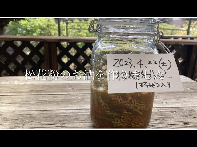 松花粉的功效与用法