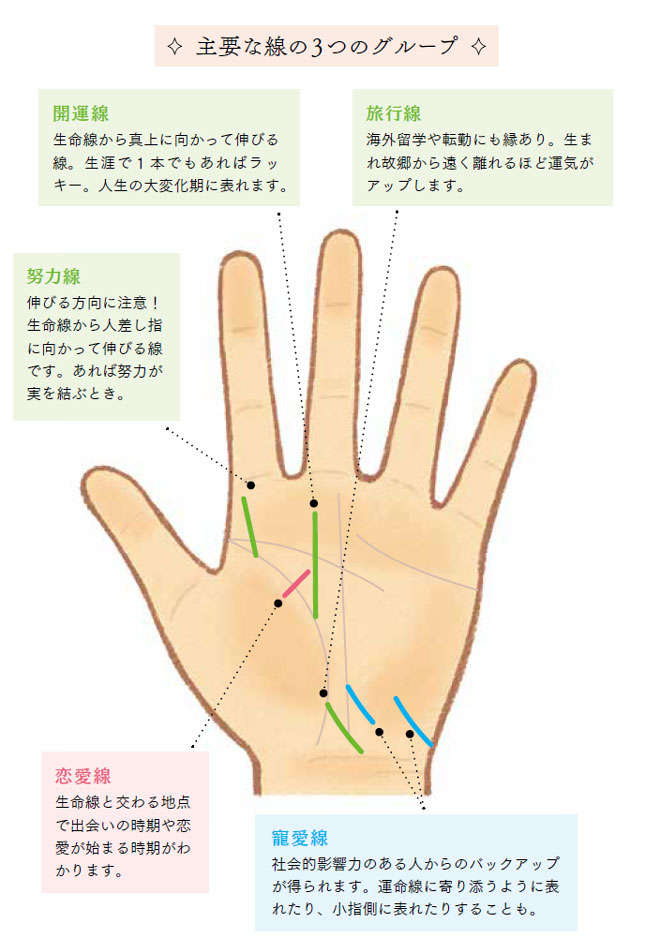 手相の生命線が枝分かれしていたらどんな意味？ 占い師がその見方を教えますOggi.jp