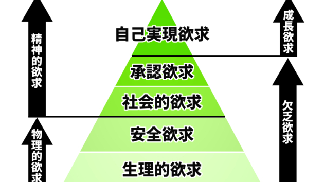 臨床精神医学研究所年報