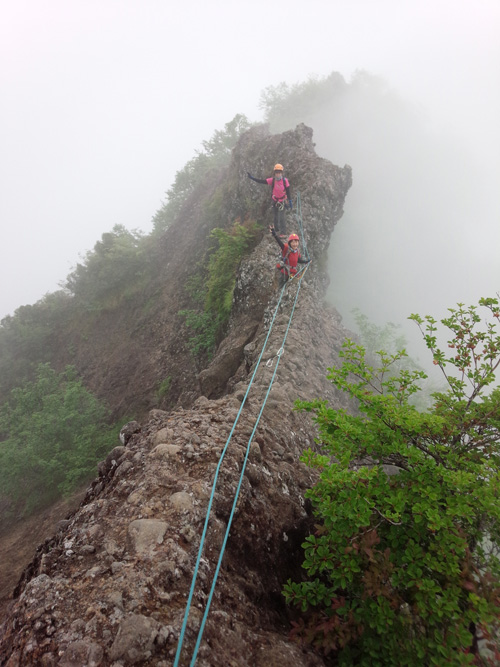 蟻の門渡りの写真素材 - PIXTA