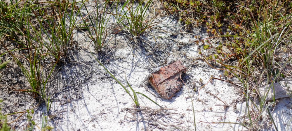 苦土石灰とは？肥料としての効果・使い方・注意点まで徹底解説！ - アグリスイッチ