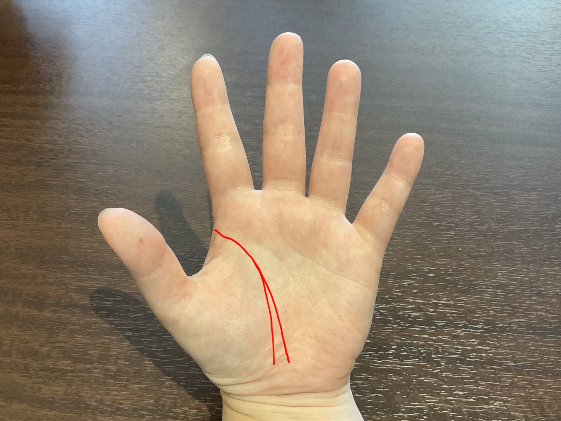 生命線」の濃さで「体力があるかどうか」がわかる！ えみ先生の手相読みkufura クフラ 小学館公式