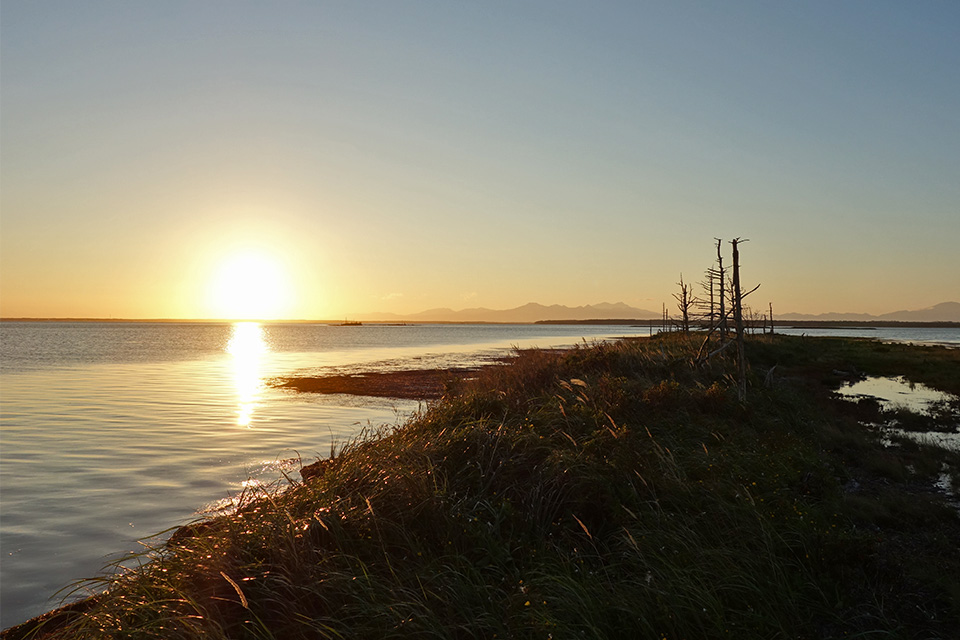 イラスト「終末感を楽しんで！」