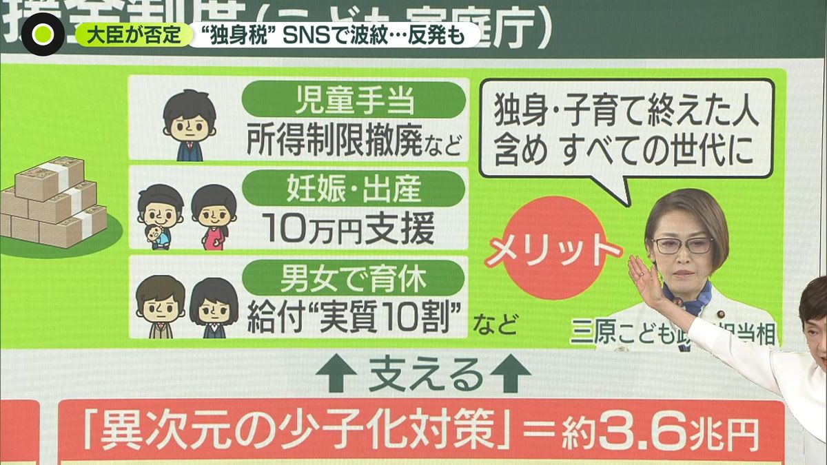 生後1歳4～7ヶ月の赤ちゃんたまひよ 医師監修 発育発達、お世話のポイント、遊び方